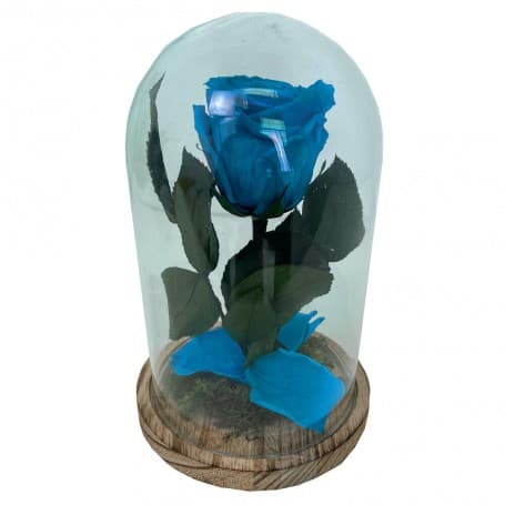 Rosa Eterna Azul en Cúpula de cristal